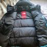 Supreme X The North Face Baltoro Statue of Liberty Nuptse Jacket Image 3
