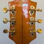 Gretsch 6120 CGP Guitar Image 6