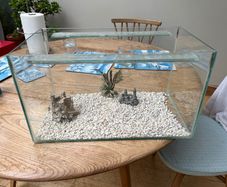Fish Tank