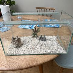 Fish Tank