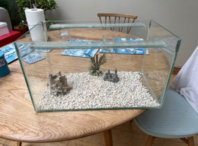 Fish Tank