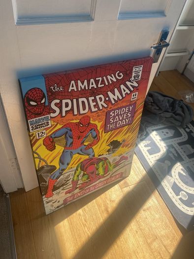 spiderman canvas