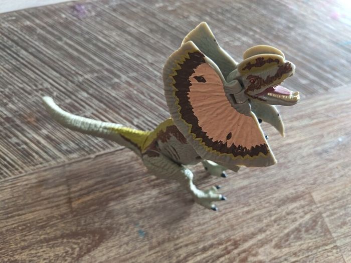dinosaurs and dragon