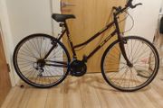 Bicycle . Medium frame
