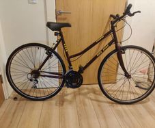 Bicycle . Medium frame