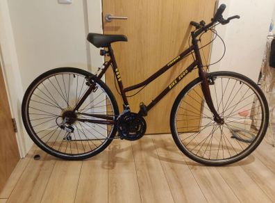 Bicycle . Medium frame