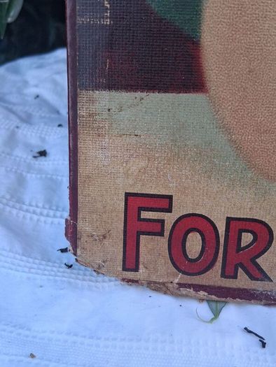 Original Wincarnis Art Nouveau Cardboard Sign