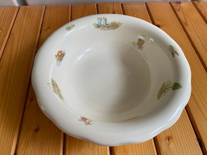 Beautiful Rare Vintage Aynsley Fine Bone China Edwardian kitchen garden - Jug and Wash Bowl