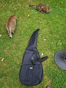guitar bag