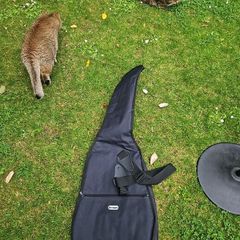 guitar bag