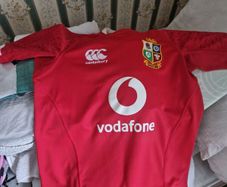 lions rugby jersey