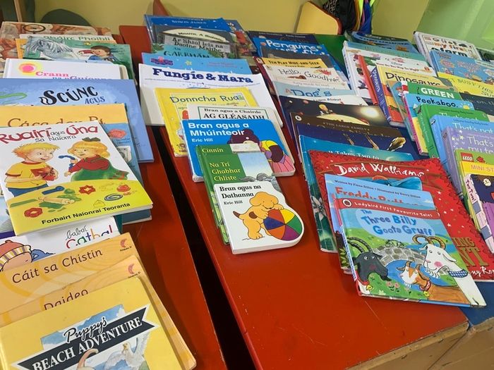 Large Childrens Book Bundle. English and Irish