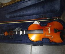 Vilion perfect condition with case