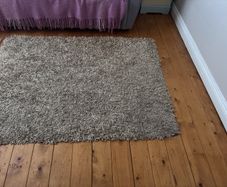 shaggy beige rug 30