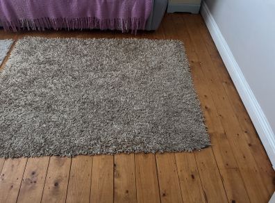 shaggy beige rug 30