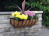 Trough Planter 24-Inch Wall with Coco Liner
