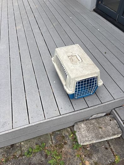 cat carrier