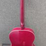 Freshman Acoustic Guitar And Case Image 4