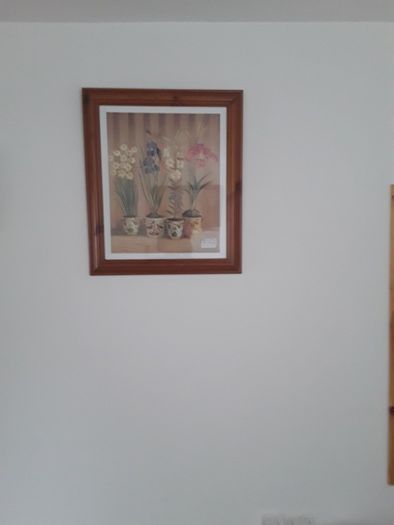 large picture