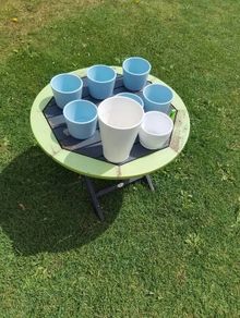 collection of flowerpots