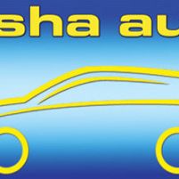 Sasha Auto Jobs in Ireland