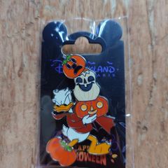 Disney Disneyland Paris Halloween pin
