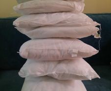 Cushion inserts