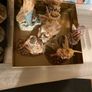 Leonardo collection Image 2