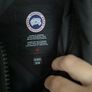 canada goose Image 8