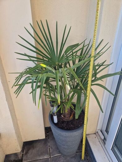 Plants bundle.