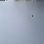 Desk. Image 3