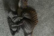 Rebirth spinosaurus