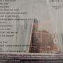 Rod Stewart - If We Fall In Love Tonight. Image 2