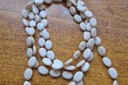 Shell beads in ivory necklace.