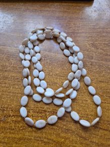 Shell beads in ivory necklace.
