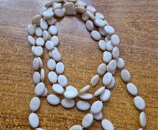 Shell beads in ivory necklace.