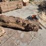 Fire Wood Image 3