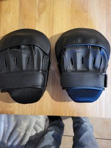 Boxing focus mitts