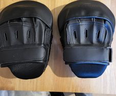 Boxing focus mitts