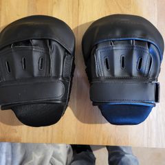Boxing focus mitts