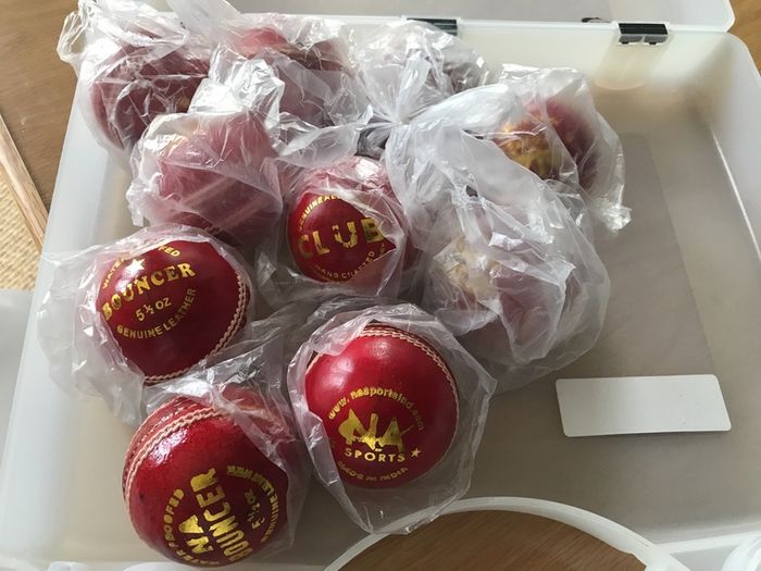 Cricket balls leather