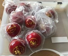 Cricket balls leather