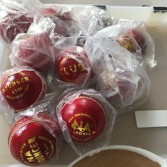 Cricket balls leather