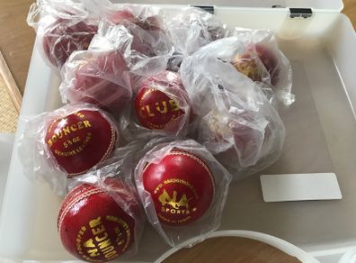 Cricket balls leather