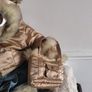 Simply Stunning  Build A Bear Winter Bear With Clothes And Accessories Image 3