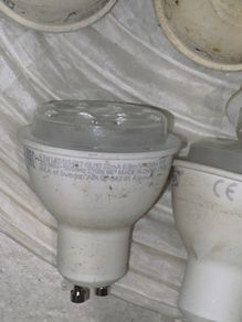bulb