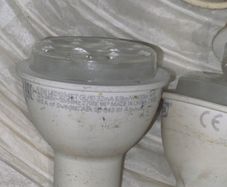 bulb
