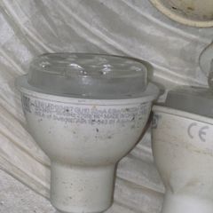 bulb