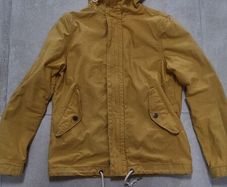 Yellow jacket