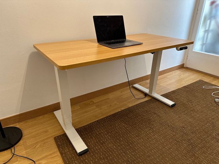 FlexiSpot EQ5 Electric Standing Desk